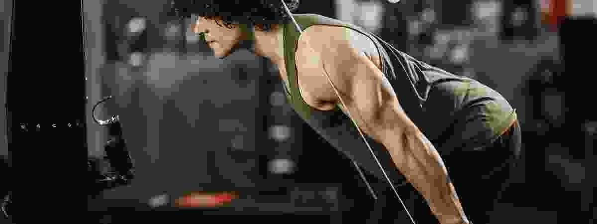 sp h3 filler image 01